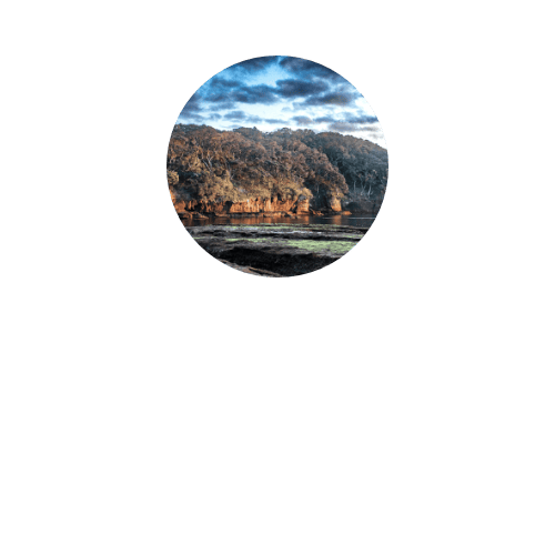 Drohne mieten für Umweltschutz-Projekte